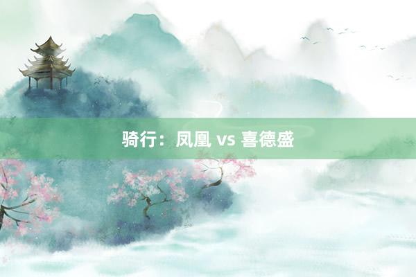 骑行：凤凰 vs 喜德盛